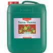 Terra Flores Canna