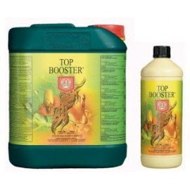 Top Booster potenciador de Floración