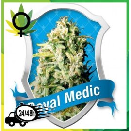 Royal Medic Medicinal