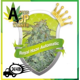 Royal Haze Automatic Autofloración