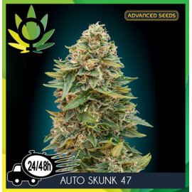 Auto Skunk 47