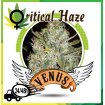 Critical Haze Venus