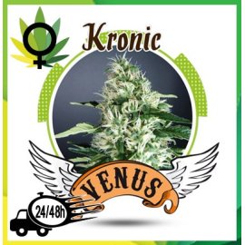 Kronic