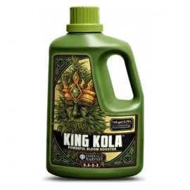 King Kola