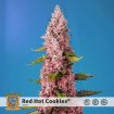 Red Hot Cookies