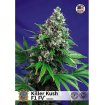 Killer Kush F1 Fast Version