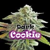 Dark Cookie