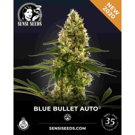 Blue Bullet  Auto