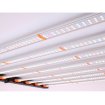 Sistema Led Cosmos 650 W