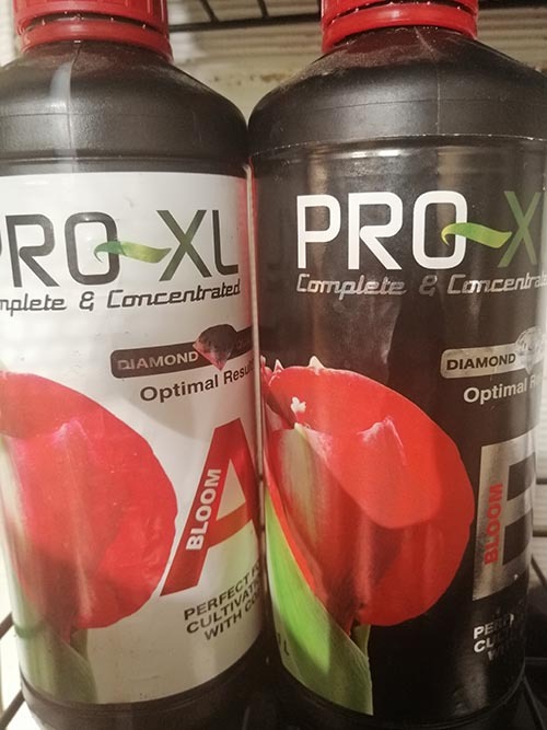 Abono de floración Pro XL