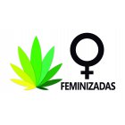 Comprar Semillas Feminizadas Baratas