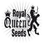 Semillas Feminizadas Royal Queen Seeds