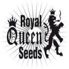 Semillas Royal Queen Seeds Auto