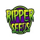 Semillas Feminizadas Ripper Seeds