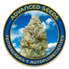 Semillas Advanced Seeds Feminizadas