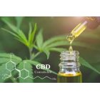 Comprar CBD Online ✔️ 100% LEGAL ▷ CBD Shop - Elcogollo.es