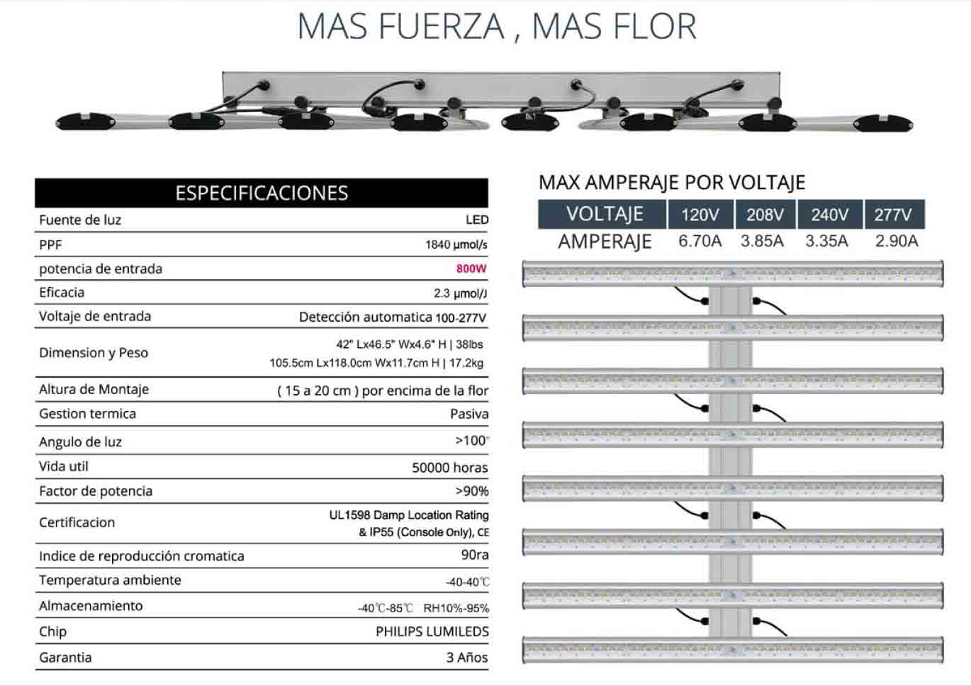 Especificaciones técnicas Led Platinum 800W